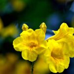 Erfahrungsberichte von Familien, die eine Seniorenbetreuerin aus Polen besch&auml;ftigen